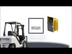A1 scale forklift (ปริมาณปริมาณปริมาณปริมาณปริมาณปริมาณ)